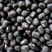 ulado бобы кожа имеется 3kg(1kg×3 пакет ) обычная температура рейс Urad Dal Wholeulado Dahl нет ru red beans сухая фасоль [ для бизнеса ]