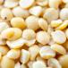  tool Dahl 10kg (1kg×10 пакет ) обычная температура рейс Toor DalkimameArhar желтый Spirit beans сухая фасоль [ для бизнеса ]