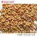  желтый pe in beans 3kg(1kg×3 пакет ) обычная температура рейс Yellow Pain Beans сухая фасоль [ для бизнеса ]