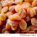 ミゼットレーズン 1kg ドライフルーツ 送料無料
