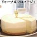 誕生日ケーキ バースデーケーキ チーズケーキ ドゥーブルフロマージュ 送料無料 　ギフト プレゼント 2020お中元