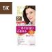 【医薬部外品】株式会社ダリヤ サロンドプロ 無香料ヘアカラー 早染め乳液【白髪用】 ＜5K＞栗色がかったナチュラルブラウン(1セット)