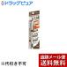 【メール便で送料無料 ※定形外発送の場合あり】 常盤薬品工業株式会社 サナ ニューボーン WブロウEX N B10 ロイヤルブラウン ( 1本入 )