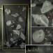 .. превосходящий . стекло оборудование орнамент Europe lalik форма 1956 год произведение автор автограф есть стекло gla vi -ru стекло гравюра .. расческа map двери витражное стекло 