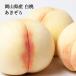  персик Okayama .... белый персик сахар раз 12 раз и больше примерно 600g 2 шар ввод большой .... после отправка для бытового использования есть перевод сельское хозяйство дом прямая поставка .. длина отправка 
