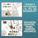 �L �m�~ �}�_�j �쏜 �m�~���R�[�� �̂ݎ�� �L���� �����ȃm�~ �悭���� �f���P�[�g�P�A ��܂�� �ڂ�� �X�y�V�����P�A�R�[�� ���C�N�R�[�� �֘A�摜2
