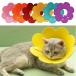  Elizabeth collar cat . after clothes cat Elizabeth collar soft felt sunflower hand . trace biting attaching scratch .. prevention 6 color development Elizabeth collar soft S