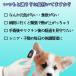 �̉��v ��ڐG �y�b�g �L �� �� �H�~ ���C�Ȃ� ���x�v �̒��Ǘ� �����x �d�q���̉��v �P�b ���� ���S ���d�r�� �y�b�g�p ���̒� ��ڐG�̉��v �֘A�摜2