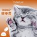  кошка . кислота . кошка простуда supplement . шар . освобождение . сила . внутри окружающая среда кошка supplement кошка ... внутри флора жидкий Taurus T*NATUR здоровье срок службы кошка ..100ml