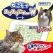  кошка игрушка кошка товары котовник кошачий актинидия развлечение кошка сопутствующие товары ... развлечение движение -тактный отсутствует аннулирование matatabi..motes белка li..~W сиденье 1 листов входит 