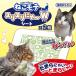  кошка игрушка кошка товары котовник кошачий актинидия развлечение кошка сопутствующие товары ... развлечение движение -тактный отсутствует matatabi..motes белка li..~W сиденье 1 листов входит ×2 шт 