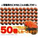 ������@�C�N���@500g�@�ݖ��Ђ��@�k�C���Y�@�����i�C�N�� �芪�����i �`���V���i�j �֘A�摜5