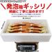 ���d�� 2kg ��^3L �Y���C�K�j �r �� �{�C�� �i���� ���킢�I �J�j�p�[�e�B ��e�ʁj�����܂�Ŗ󂠂� �֘A�摜5
