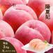 peach . summer . Yamagata prefecture production higashi root 3L 3kg preeminence goods white peach .. gift home use 8 month on . on and after sequential shipping expectation 
