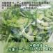  Okinawa префектура производство рефрижератор горький огурец - ломтик 1kg ×3 пакет используя хочет минут только pa Rapala ...!