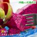  with translation dragon fruit red sphere 2kg. home use Okinawa prefecture production 