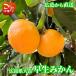  Hiroshima префектура большой мыс внизу остров производство . сырой мандарин подарок для 5kg 10kg бесплатная доставка сверху бог сельское хозяйство . Seto внутри уровень . поле день на хороший Hiroshima .... ... подарок по случаю конца года мандарин mi can . сырой 