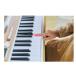 CASIO �J�V�I LK-340 �L�[�{�[�h �������N���X�t�� ���i�r�@61���Ձ@�d�q�s�A�m ���� �֘A�摜3