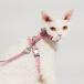 [KOGO-purrre] H-Shaped Cat Harness Suit-Hana кошка для Harness - na
