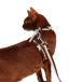 [KOGO-purrre] H-Shaped Cat Harness Suit-Sandy кошка для Harness Sunday 