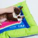 [KOGO-purrre] BOOM BOOM CAT PET COOLING MAT-Pixel Cat гель коврик прямоугольный 