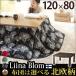 �������� i-3301849 ������ �����` �X�N�G�A������ �k�W�[�m�l 120x80cm+�k���f�U�C�i�[�Y�ȃX�y�[�X�����z�c 2�_�Z�b�g �܂�r