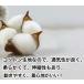 �y���Ԍ��芄�����I1,360�~��1,080�~�I�z���@���@�t���@�t�p�@�ĕ��@�ėp�@�t�H�ē~�@�{�[�_�[�@���n�@�����@�������@���킢���@���^�@���^�@�h�b�O�E�G�A �֘A�摜3