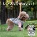 �y���Ԍ��芄�����I1,360�~��1,080�~�I�z���@���@�t���@�t�p�@�ĕ��@�ėp�@�t�H�ē~�@�{�[�_�[�@���n�@�����@�������@���킢���@���^�@���^�@�h�b�O�E�G�A �֘A�摜5