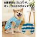 �y���Ԍ��芄�����I1,260�~��1,000�~�I�I�z�����@���̕��@���@���@�t�@�ā@�H�@�t�p�@�t���@�ĕ��@�ėp�@�������@���^���@���^���@���� �֘A�摜2