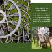 �A���~ �K�[�f���e�[�u�� �`�F�A �Z�b�g �p���\�����t�� �� �֎q �x�����_ �O�p�C�X ���e�X ���O�Ƌ� �E�b�h�f�b�L �A���e�B�[�N�� �R�[�i���I���W�i�� �֘A�摜2
