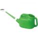 * new shining compound dragonfly watering can green size :6 type 