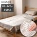 [ производитель официальный ] Koizumi электрический ..188×120cm KDK-60231 |..... кровать одеяло теплый большой размер KDK60231||