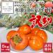  прямая поставка от производителя! есть перевод Wakayama производство . иметь хурма (.....)5kg [ бесплатная доставка ]* нынешний погода дефект . есть маленький .. несколько большее количество 