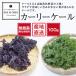  Wakayama производство нет пестициды машина Lee кудрявая капуста 100g # отправка на следующий день квитанция ограничение * доставка часовой пояс . обратите внимание #