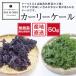  Wakayama производство нет пестициды машина Lee кудрявая капуста 50g # отправка на следующий день квитанция ограничение * доставка часовой пояс . обратите внимание #