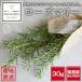  нет пестициды Wakayama производство утро .. розмарин примерно 30g