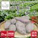  нет пестициды Wakayama производство батат ( Satsuma клубень )2kg * размер * вид не комплект [ бесплатная доставка ]