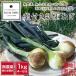  нет пестициды * нет химия удобрение Wakayama производство лист имеется новый шар лук порей ( лист шар лук порей ) 1kg