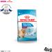  Royal kana n собака корм для собак Mini Индия apapi-4kg салон . жизнь делать маленький размер собака специальный . собака для 