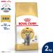 ���C�����J�i�� �L �L���b�g�t�[�h �u���e�B�b�V�� �V���[�g�w�A�[��p�t�[�h ���L�p 2kg