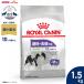 ���C�����J�i�� �� �h�b�O�t�[�h �G�N�X�g�� �X���[�� �X�e�A���C�Y�h 1.5kg ��D ������ �����^��