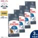 ���C�����J�i�� �L �L���b�g�t�[�h ���C�g �E�F�C�g �P�A 3kg�~4�� ���ʂ������L��p�t�[�h ���L�p