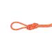 [ максимальный P5%!8/31 до ]MAMMUT Mammut 7.5 Alpine sender dry трос 70m / 2010-06630-3787