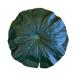  поддон сопутствующие товары ... для - s. лист ( большой ) примерно 29cm текстильный лотос. лист лотос лист. .. лист O-Bon украшение {SK}KZB