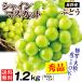  виноград 2. автомобиль in мускат Nagano производство 1.2kg. для бытового использования прямая поставка от производителя .. виноград фрукты .. было использовано еда страна ..