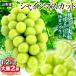  виноград Yamanashi производство сильно сниженная цена автомобиль in мускат 2.( примерно 1.2kg) большой . вид нет кожа .. прекрасный тест .. крупный виноград бесплатная доставка еда 