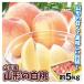 mo. approximately 5kg great special price Yamagata. white peach Yamagata production free shipping food 