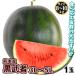 su.. чёрный . человек Kumamoto производство 5L~3L 1 шар 8~10kg бесплатная доставка еда страна ..