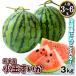su..( сейчас отгрузка средний ) примерно 3kg(3~6 шар ) Kumamoto производство маленький шар ... бесплатная доставка запад . еда страна ..