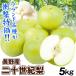  груша 5kg. для бытового использования 2 10 век груша Nagano производство бесплатная доставка еда . покупка 